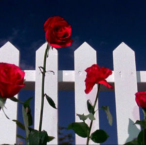 Meet your Posher, Nora